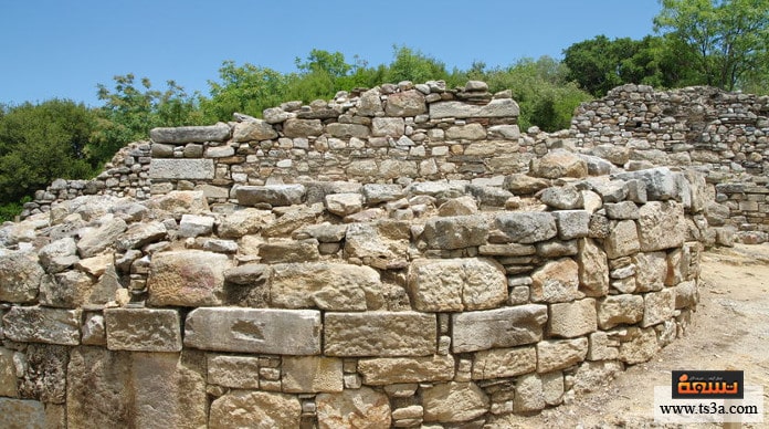 d8a3d8b1d8b3d8b7d988-d8aad8a3d8abd98ad8b1-d983d8aad8a7d8a8d8a7d8aa-d988d8a3d981d983d8a7d8b1-d8a3d8b1d8b3d8b7d988-d8a7d984d985d985d8aad8afd8a9 أرسطو تأثير كتابات وأفكار أرسطو الممتدة