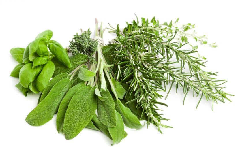 d8a3d8b9d8b4d8a7d8a8-d8aad8aed8b3d98ad8b3-d8b3d8b1d98ad8b9d8a9-d8a7d984d985d981d8b9d988d984-825x510-2 أعشاب تخسيس سريعة المفعول