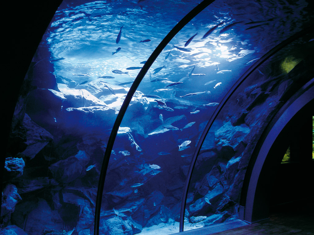 أكواريوم سيفيكو دي ميلان أكواريوم سيفيكو دي ميلان