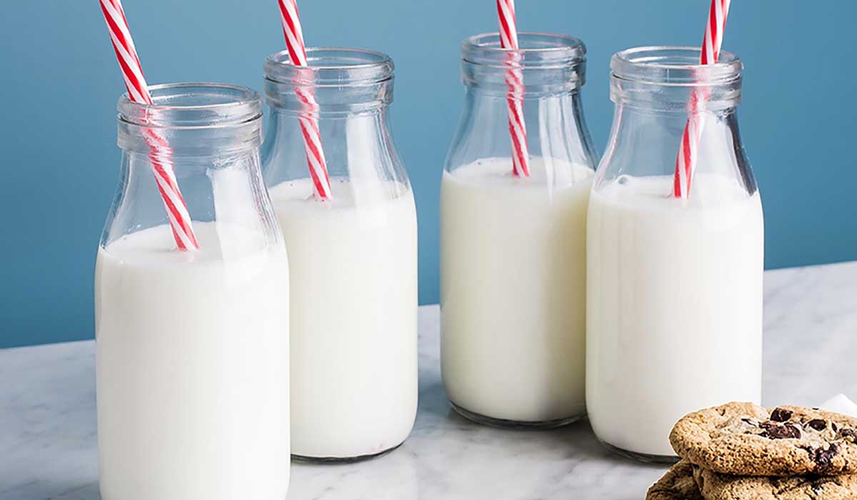 أنواع-اللبن