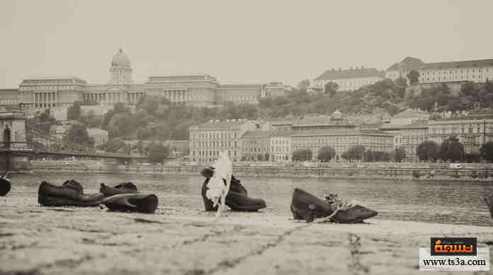 من هو الرئيس الأمريكي الذي تدخلت الولايات المتحدة الأمريكية في عهده في الحرب العالمية الثانية؟