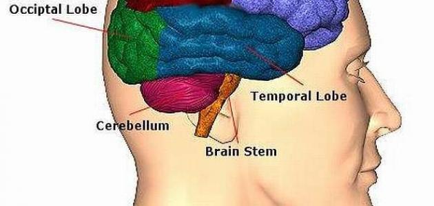 اعراض سرطان المخ