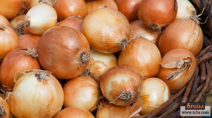 البصل النيء أكل البصل النيء