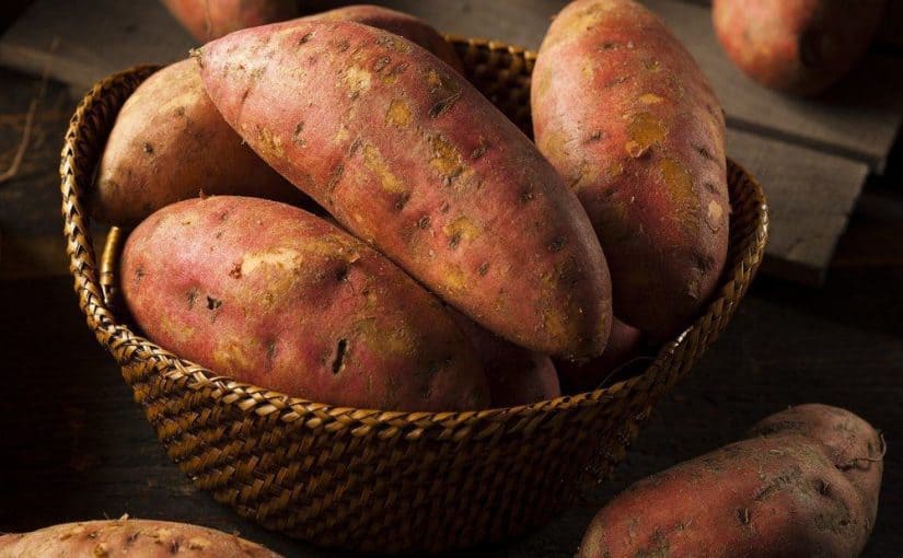 d8a7d984d8a8d8b7d8a7d8b7d8a7-d988d8a7d984d8b1d8acd98ad985-825x510-2 البطاطا والرجيم