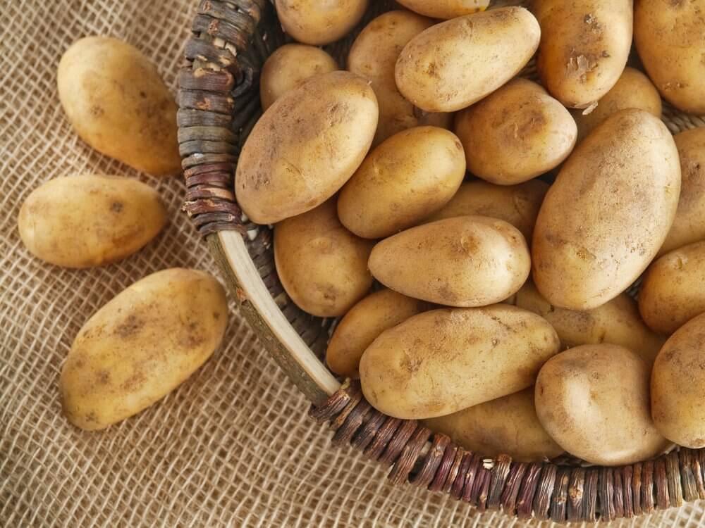 بطاطس