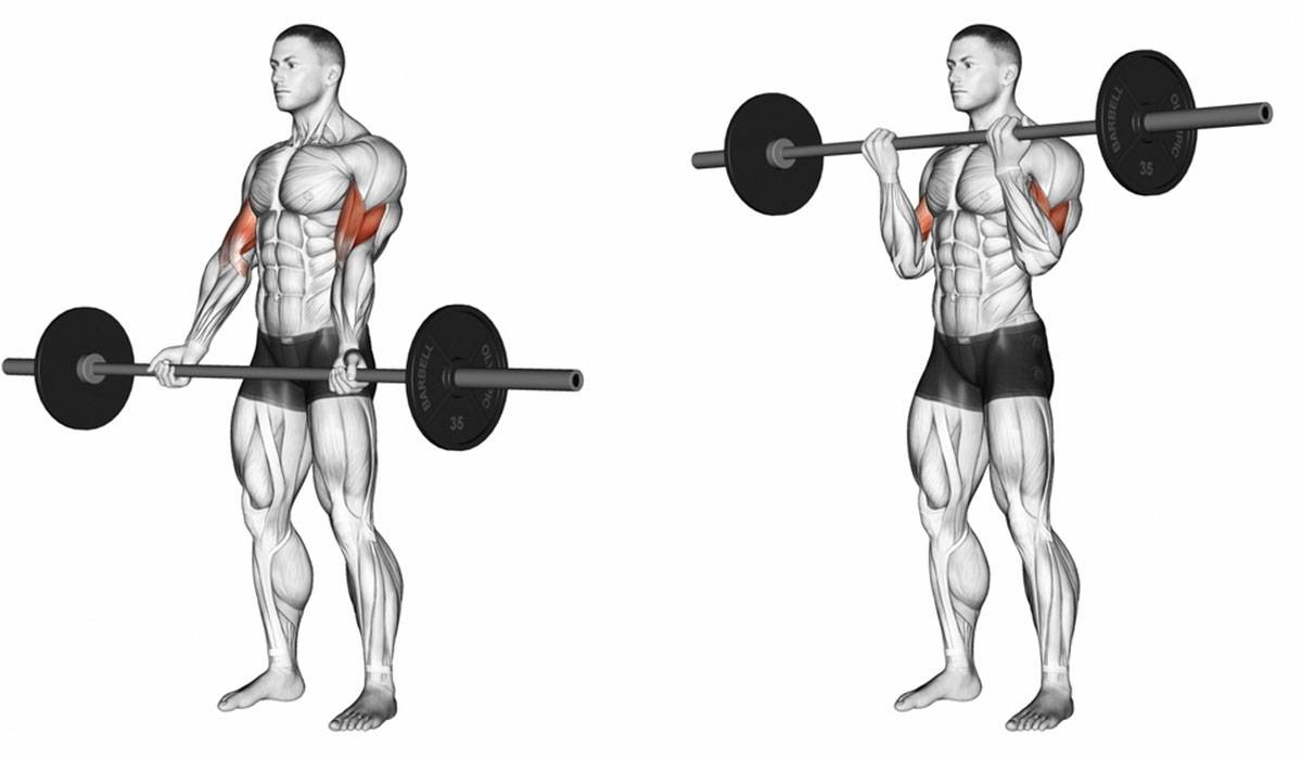 التمرين الأول