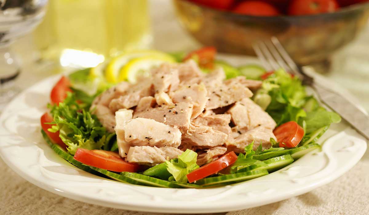 d8a7d984d8aad988d986d8a9 التونة