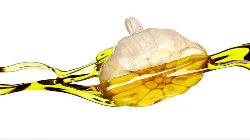 الثوم وزيت الزيتون