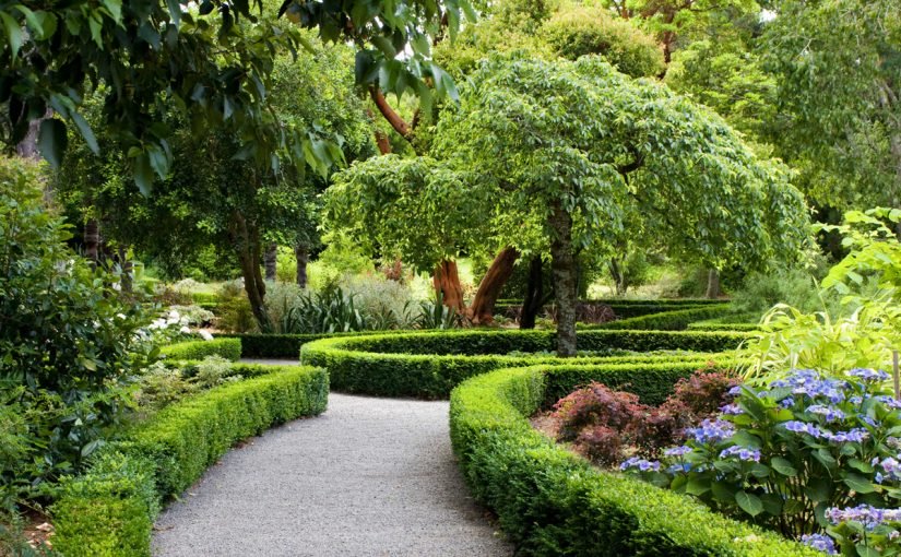 d8a7d984d8add8afd98ad982d8a9-d8a7d984d8a7d8b3d984d8a7d985d98ad8a9-d981d98a-d8a7d984d8b4d8a7d8b1d982d8a9-d988d98ad983d98ad8a8d98ad8afd98ad8a7-825x510-2 بحث عن الحديقة الاسلامية في الشارقة