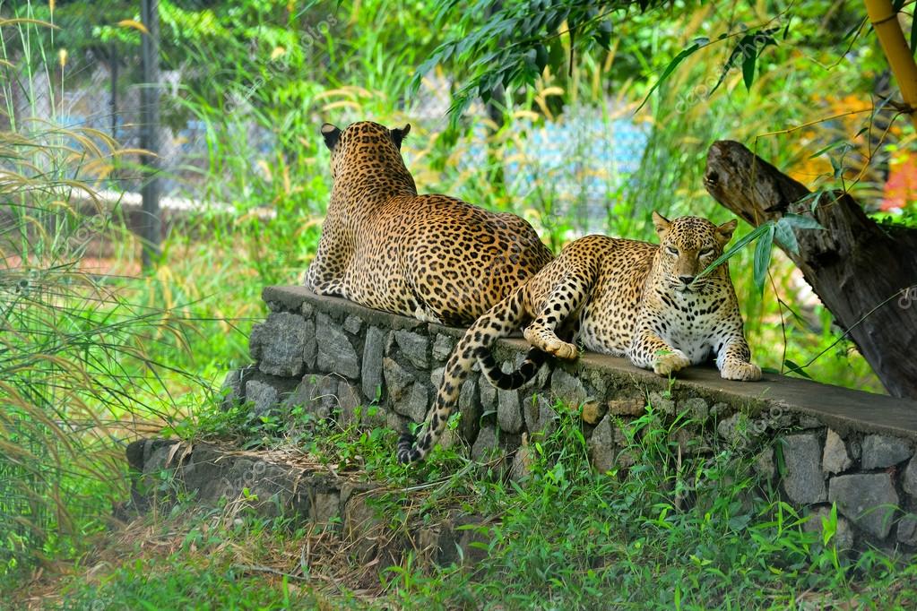 الحديقة الوطنية الحديقة الوطنية