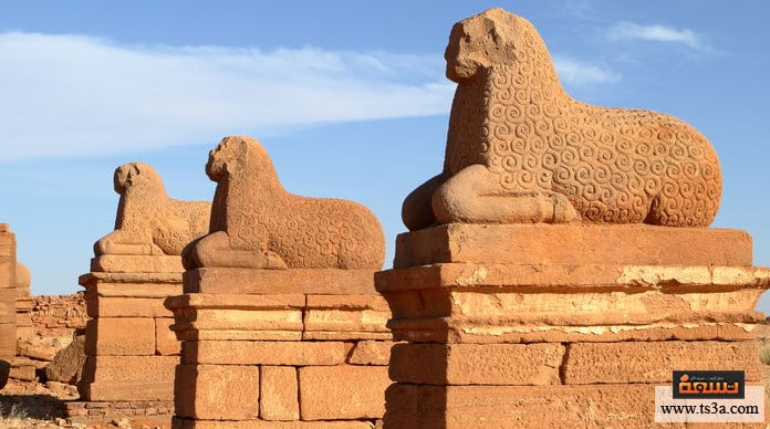 d8a7d984d8add8b6d8a7d8b1d8a9-d8a7d984d983d988d8b4d98ad8a9-d8b5d8b1d8a7d8b9-d8a7d984d8add8b6d8a7d8b1d8a9-d8a7d984d983d988d8b4d98ad8a9-d988d8a7d984d8add8b6d8a7d8b1d8a9-d8a7d984d985d8b5d8b1d98ad8a9 الحضارة الكوشية صراع الحضارة الكوشية والحضارة المصرية