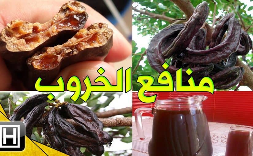 d8a7d984d8aed8b1d988d8a8-d8a7d984d8a8d8b1d98a-d984d984d8aad986d8add98ad981-1-825x510-2 الخروب البري للتنحيف