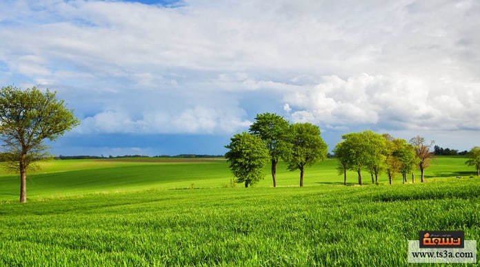 الدول صديقة البيئة كينيا من الدول الأفريقية صديقة للبيئة