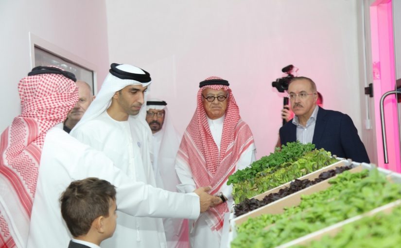 d8a7d984d8b2d8b1d8a7d8b9d8a9-d981d98a-d8afd988d984d8a9-d8a7d984d8a5d985d8a7d8b1d8a7d8aa-825x510-2 الزراعة في دولة الإمارات