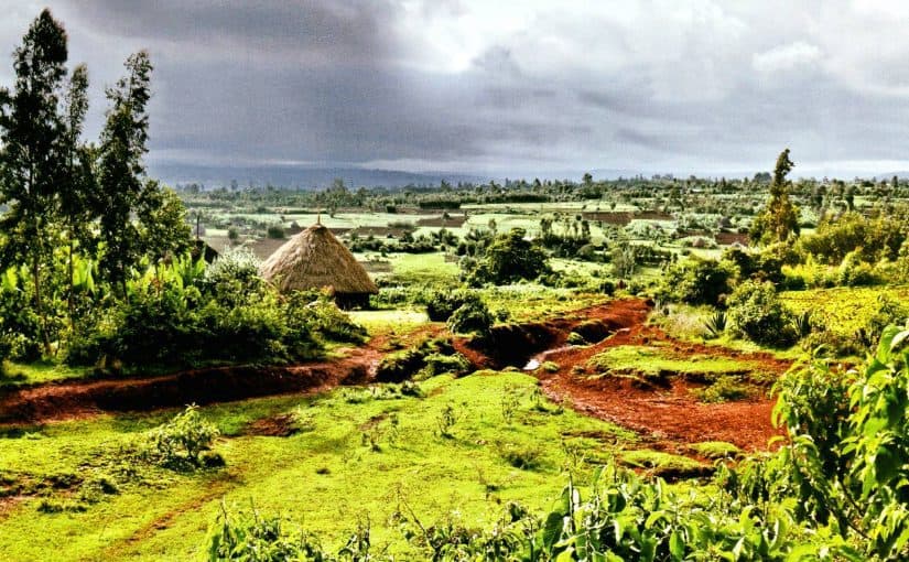 d8a7d984d8b3d98ad8a7d8add8a9-d981d98a-d8a7d8abd98ad988d8a8d98ad8a7-825x510-2 السياحة في اثيوبيا