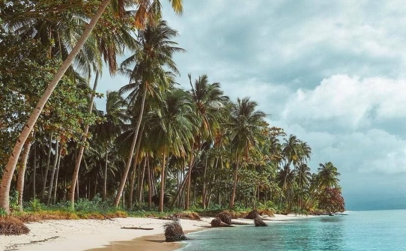 d8a7d984d8b3d98ad8a7d8add8a9-d981d98a-d8a7d984d981d984d8a8d98ad986-d8a7d984d985d8b3d8a7d981d8b1d988d986-d8a7d984d8b9d8b1d8a8-825x510-2 السياحة في الفلبين المسافرون العرب