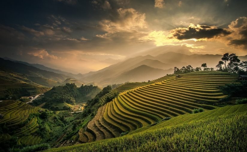 d8a7d984d8b3d98ad8a7d8add8a9-d981d98a-d8a7d986d8afd988d986d98ad8b3d98ad8a7-d8a7d984d985d8b3d8a7d981d8b1d988d986-d8a7d984d8b9d8b1d8a8-825x510-2 السياحة في اندونيسيا المسافرون العرب