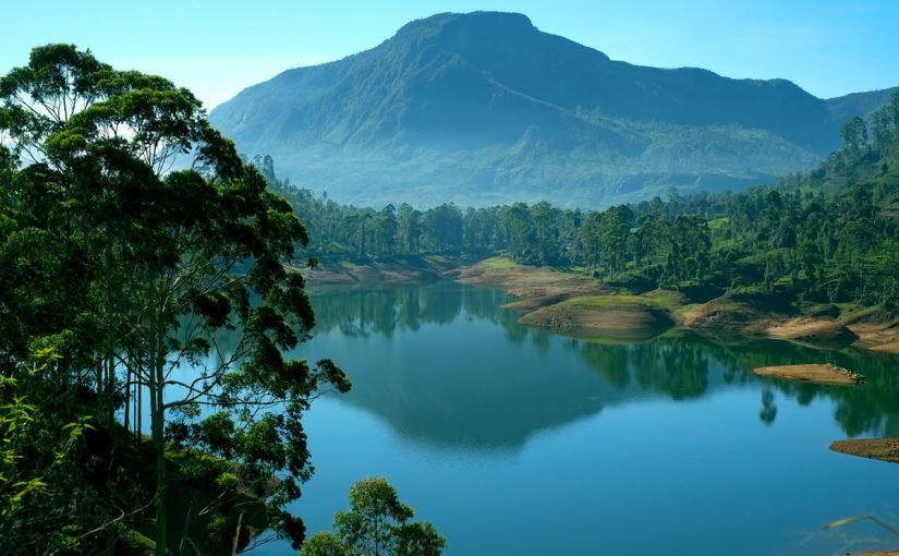 d8a7d984d8b3d98ad8a7d8add8a9-d981d98a-d8b3d8b1d98ad984d8a7d986d983d8a7-d8a7d984d985d8b3d8a7d981d8b1d988d986-d8a7d984d8b9d8b1d8a8-825x510-2 السياحة في سريلانكا المسافرون العرب