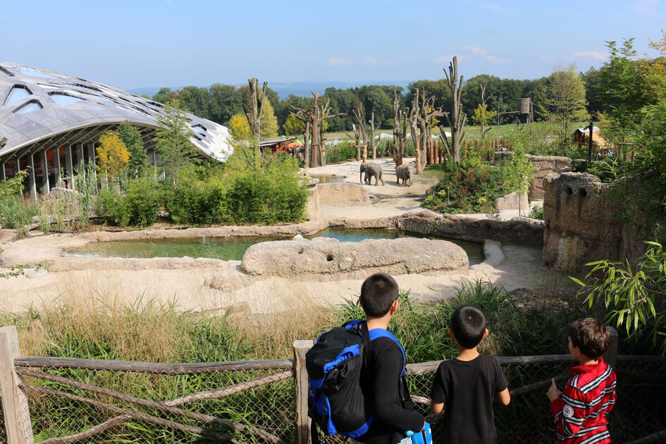 حديقة حيوان زيوريخ حديقة حيوان زيوريخ