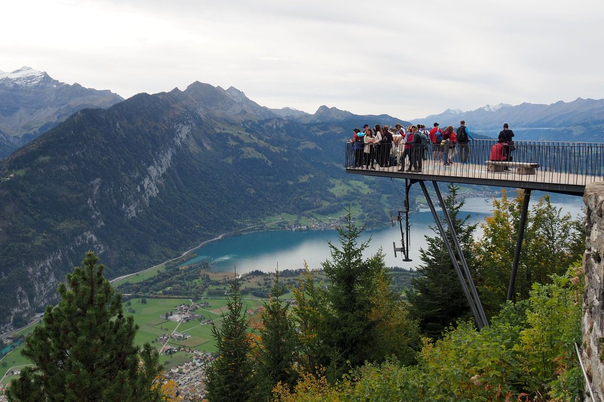 هاردير كولم هاردير كولم