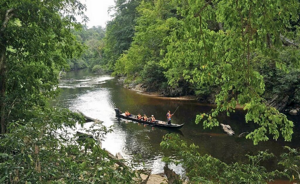 المتنزه البري تامان نيجارا بكوالا لامبور في ماليزيا المتنزه البري تامان نيجارا بكوالا لامبور في ماليزيا