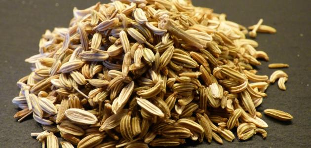 الشمر والرضاعة