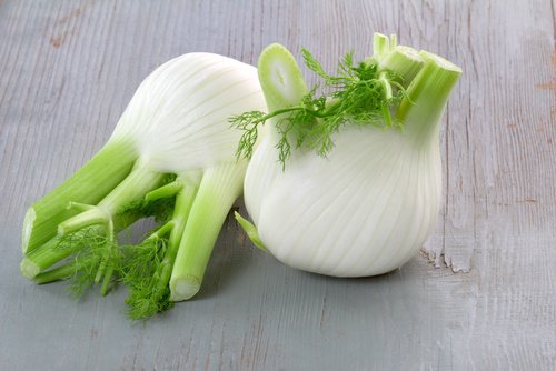 نبات الشمرة