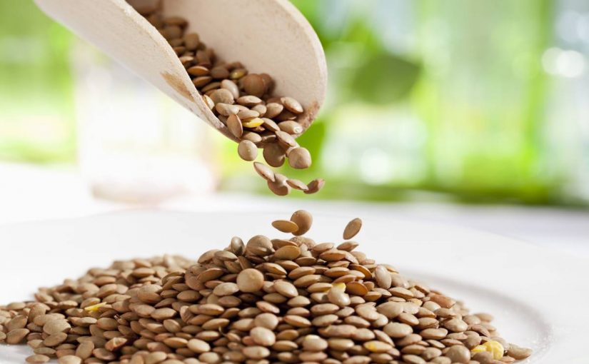 d8a7d984d8b9d8afd8b3-825x510-2 كيفية زراعة العدس في المنزل