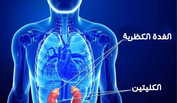 الغدة-الكظرية