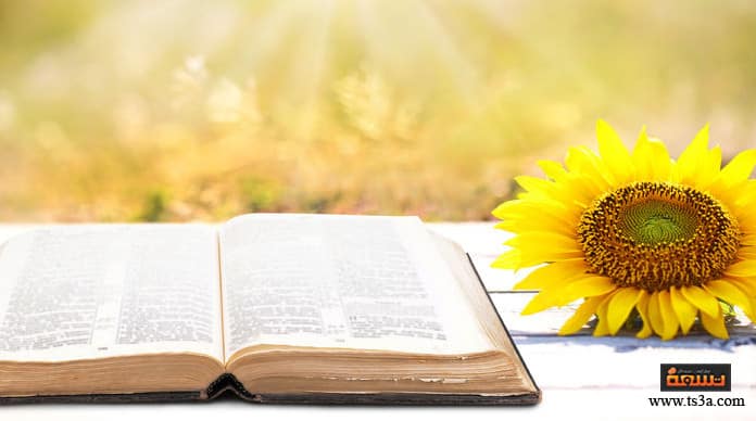 d8a7d984d982d8b1d8a7d8a1d8a9-d981d98a-d8b1d985d8b6d8a7d986-d985d8b9d988d982d8a7d8aa-d8a7d984d982d8b1d8a7d8a1d8a9-d981d98a-d8b1d985d8b6d8a7d986 القراءة في رمضان معوقات القراءة في رمضان