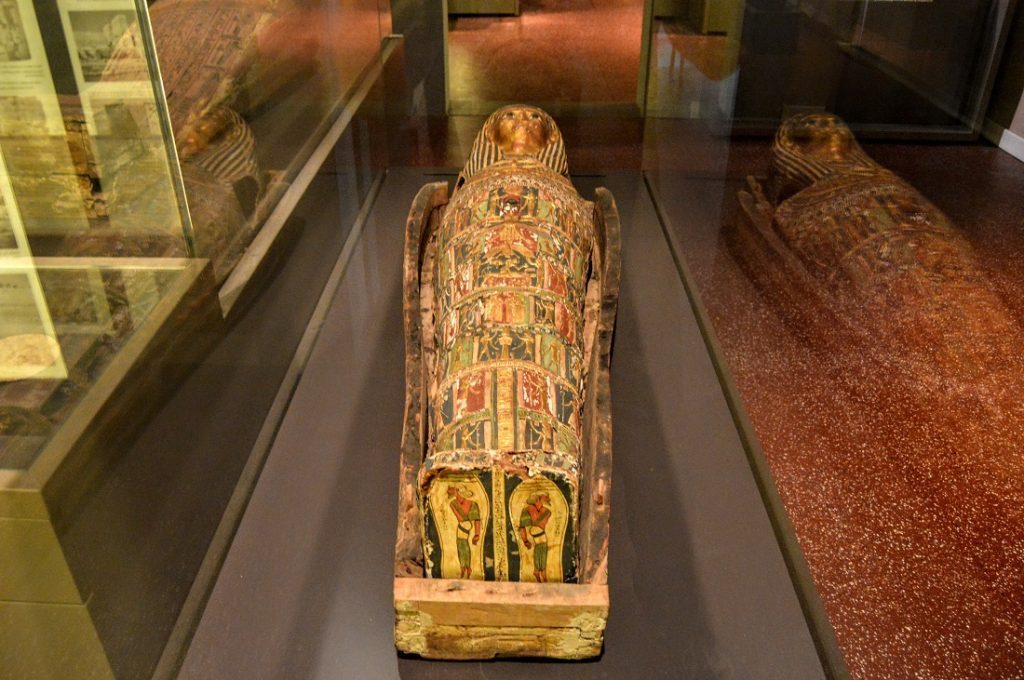 المتحف الأثري المتحف الأثري