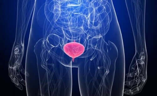 أعراض التهابات المسالك البولية وفقًا لموقعها