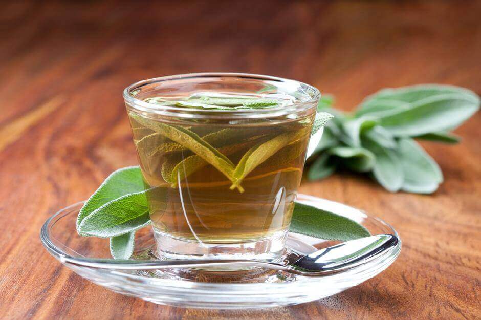 d8a7d984d985d8b1d98ad985d98ad8a9-d988-d8a7d984d8b7d985d8a7d8b7d985 مريمية