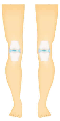 d8a7d984d985d981d8a7d8b5d984-d8add8b1d8a9-d8a7d984d8add8b1d983d8a9 المفاصل حرة الحركة