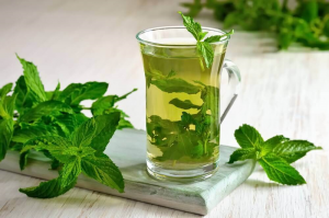 النعناع الفلفلي