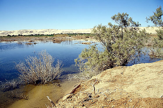 الواحات البحرية الواحات البحرية