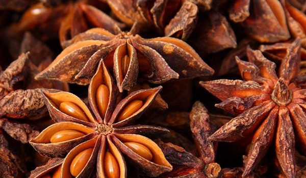 فوائد اليانسون للرضع