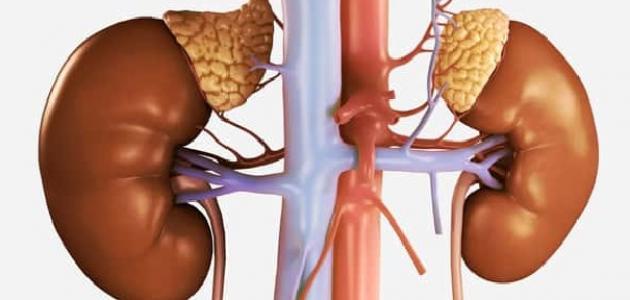 اورام الغدة الكظرية