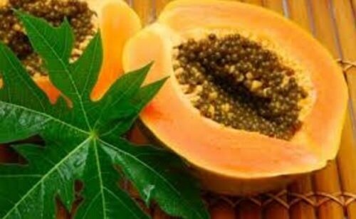 بابايا