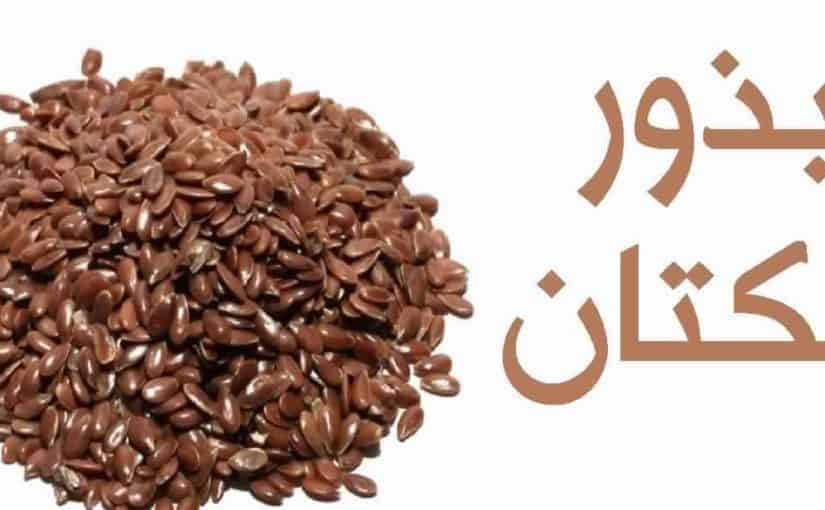 d8a8d8b0d988d8b1-d8a7d984d983d8aad8a7d986-d984d984d8aad986d8add98ad981-d985d8b9-d8a7d984d8b2d8a8d8a7d8afd98a-825x510-2 بذور الكتان للتنحيف مع الزبادي