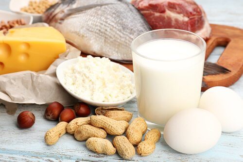 استهلاك البروتين