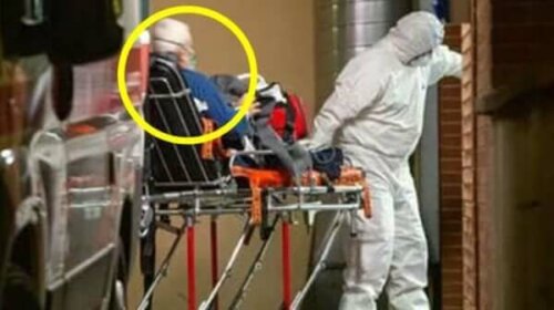 البيرتو بيلوتشي يخرج من المستشفى