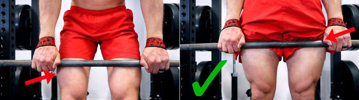 تمارين الترابيس تمارين الترابيس