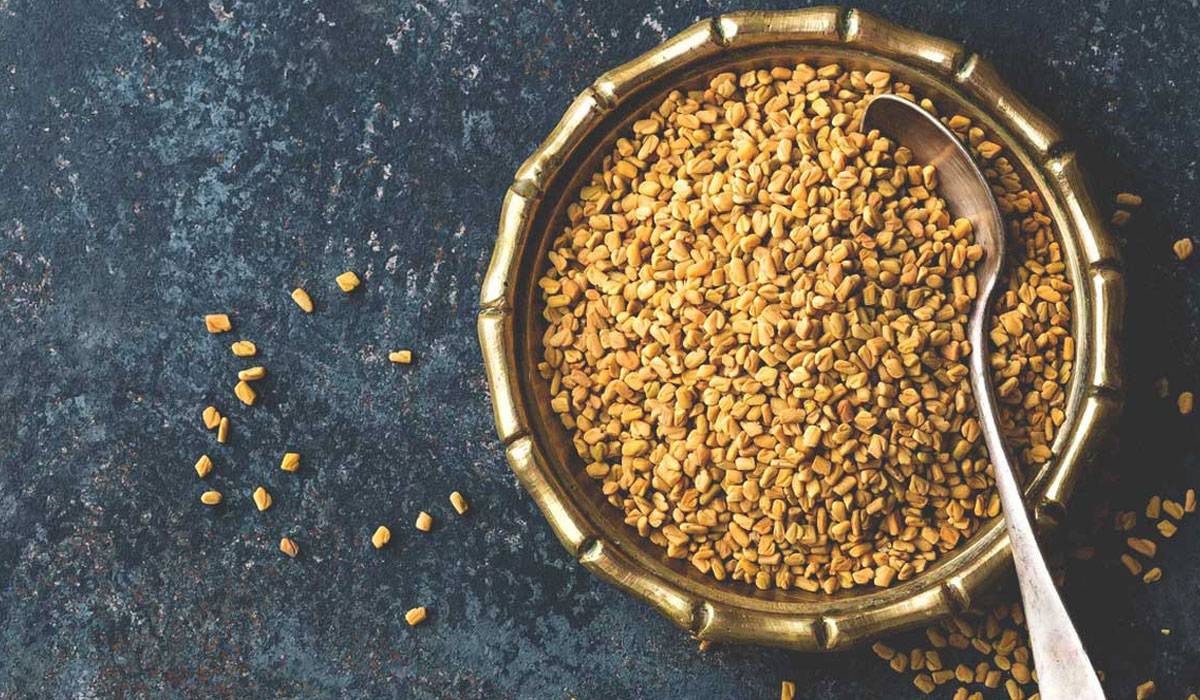 d8aad8b3d985d98ad986-d8a7d984d8acd8b3d985-d8a8d8a7d984d8add984d8a8d8a9-d8a3d988-d8a7d984d8add984d8a8d8a9-d984d984d8aad8b3d985d98ad986 هل الحلبة تزيد الوزن