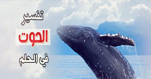 تفسير حلم الحوت لابن سيرين