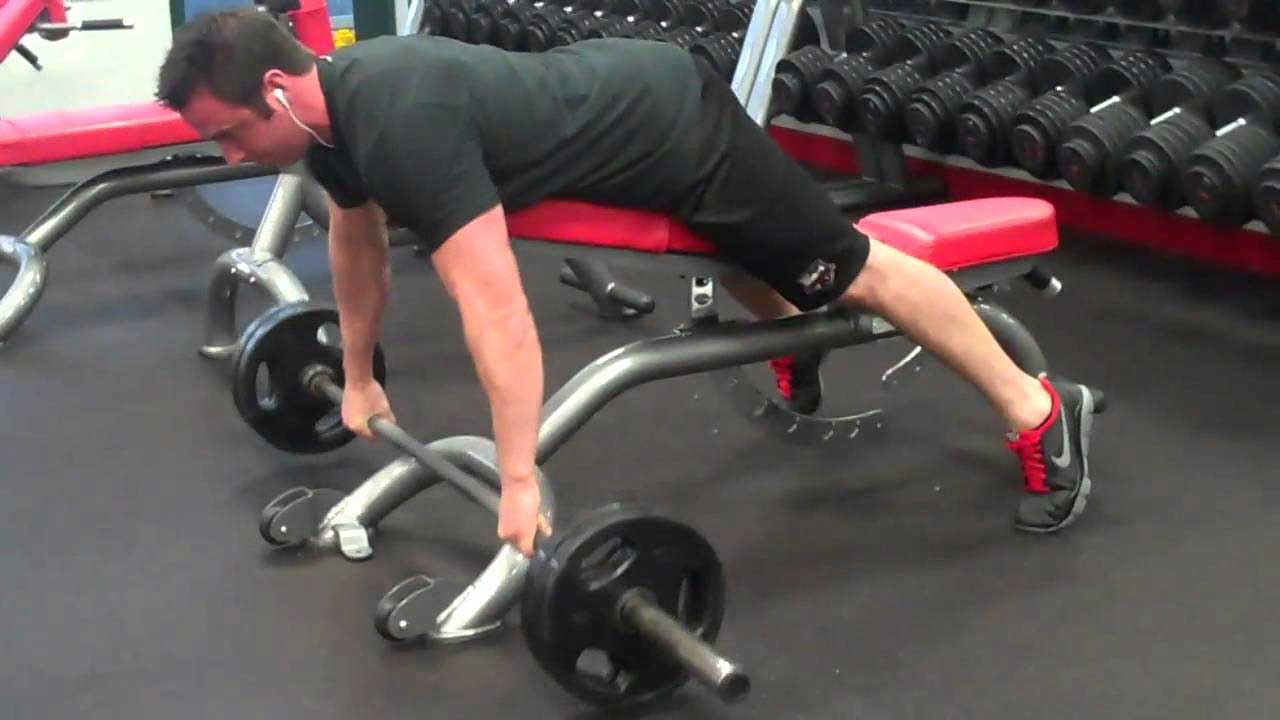 تمارين الظهر بالبار