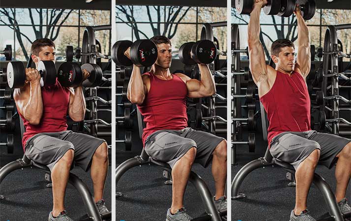 تمارين الكتف بالصور