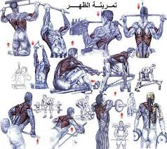 اسرار تمارين الظهر اسرار تمارين الظهر