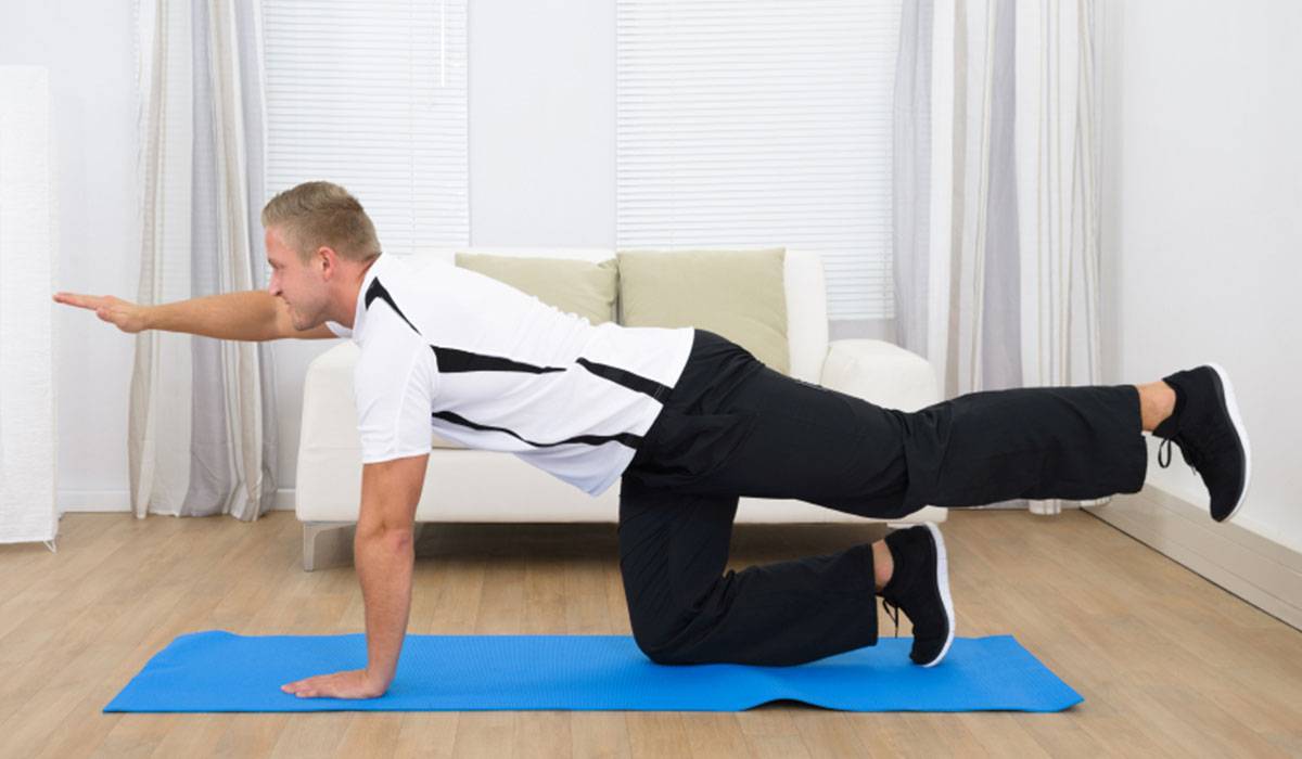 تمرين الطحن Bird dog crunch