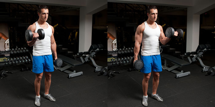 تمرين Dumbbell Alternate Bicep Curl